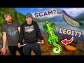 The biggest scams in fishing and how to find them