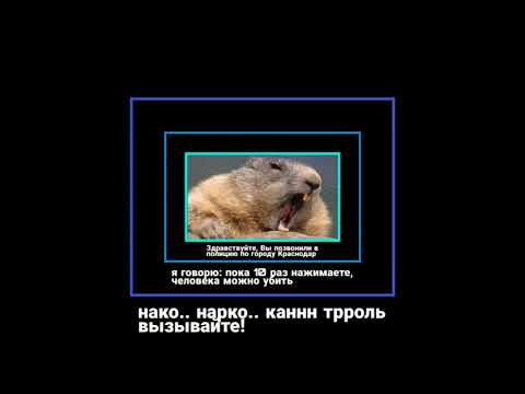 Мужчина в образе бобра🐹😂👽