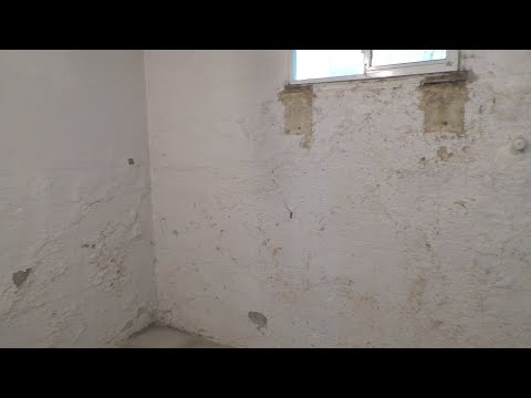 Can You Use Basement Sealer Paint On Bathroom Walls?