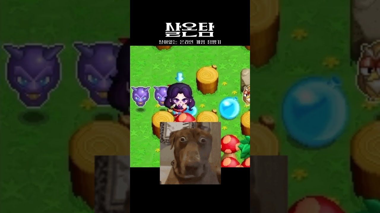 크아 개억까맵