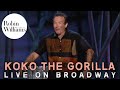 Robin williams live on broadway koko the gorilla