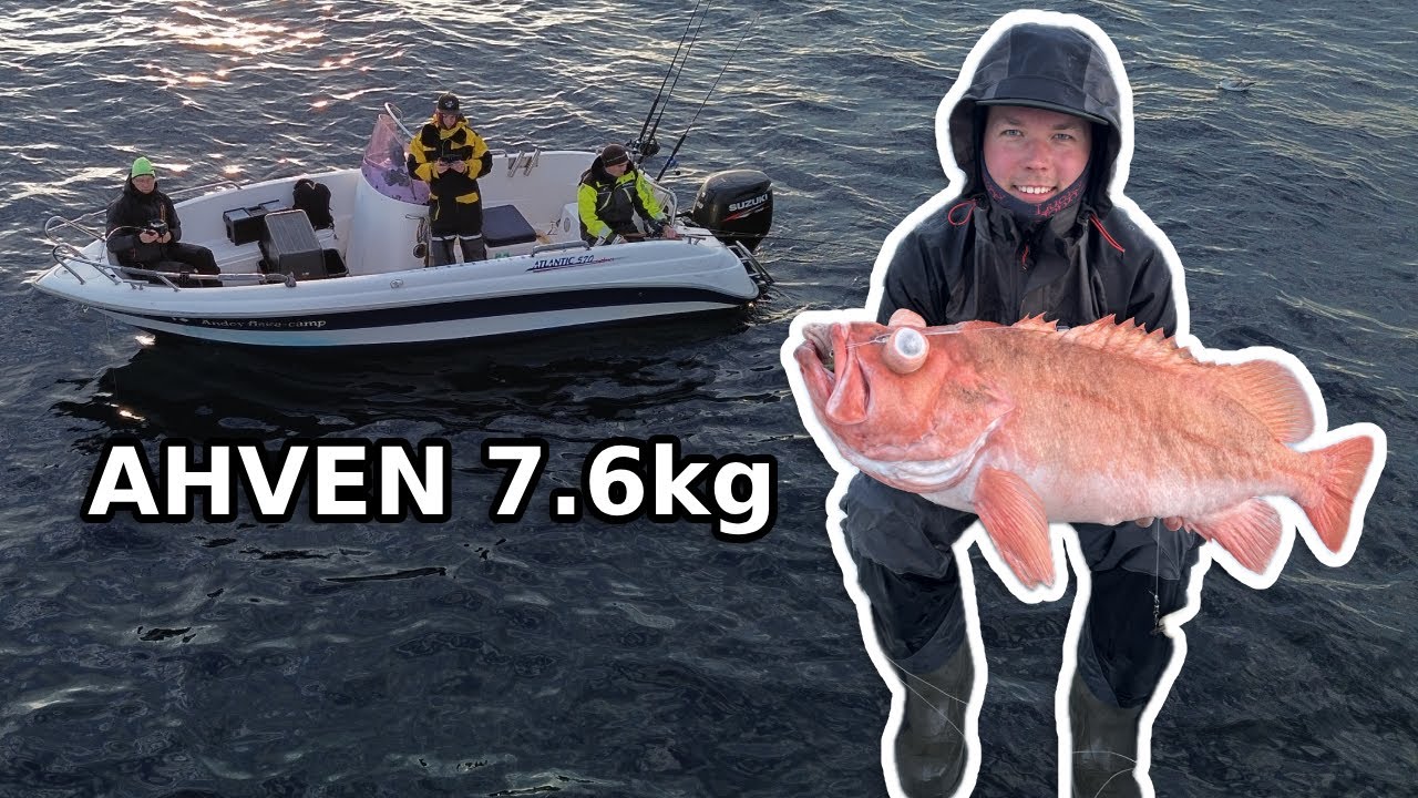 Norra Andenes 2025 - Suured meriahvenad!