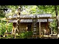 Changing the Roof On My Log Cabin | Off Grid Wilderness Living