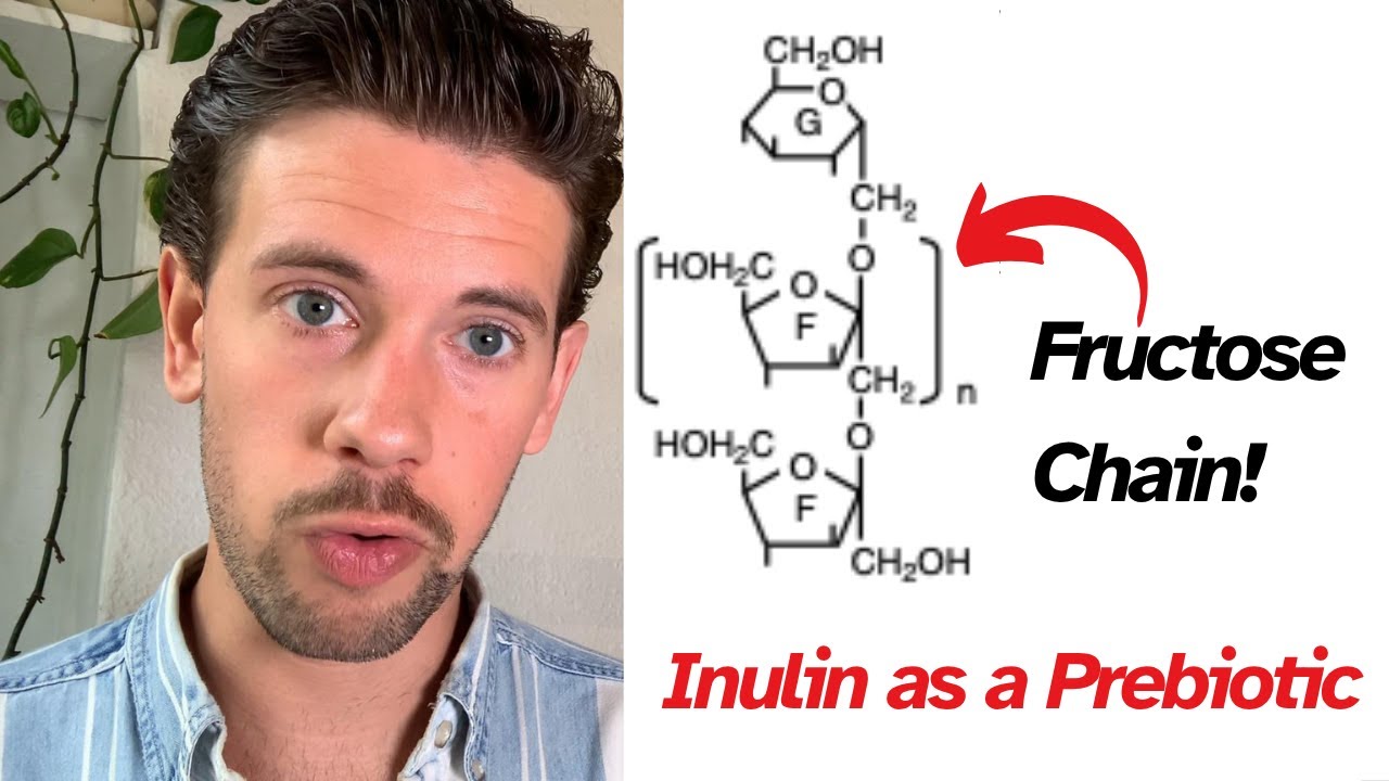 Inulin as a prebiotic and fermentation tool