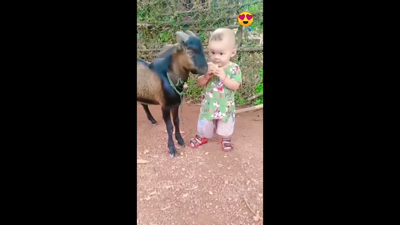 Cute