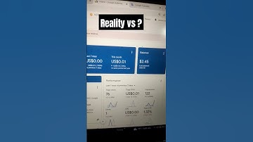 WordPress earning day 1 Reality?