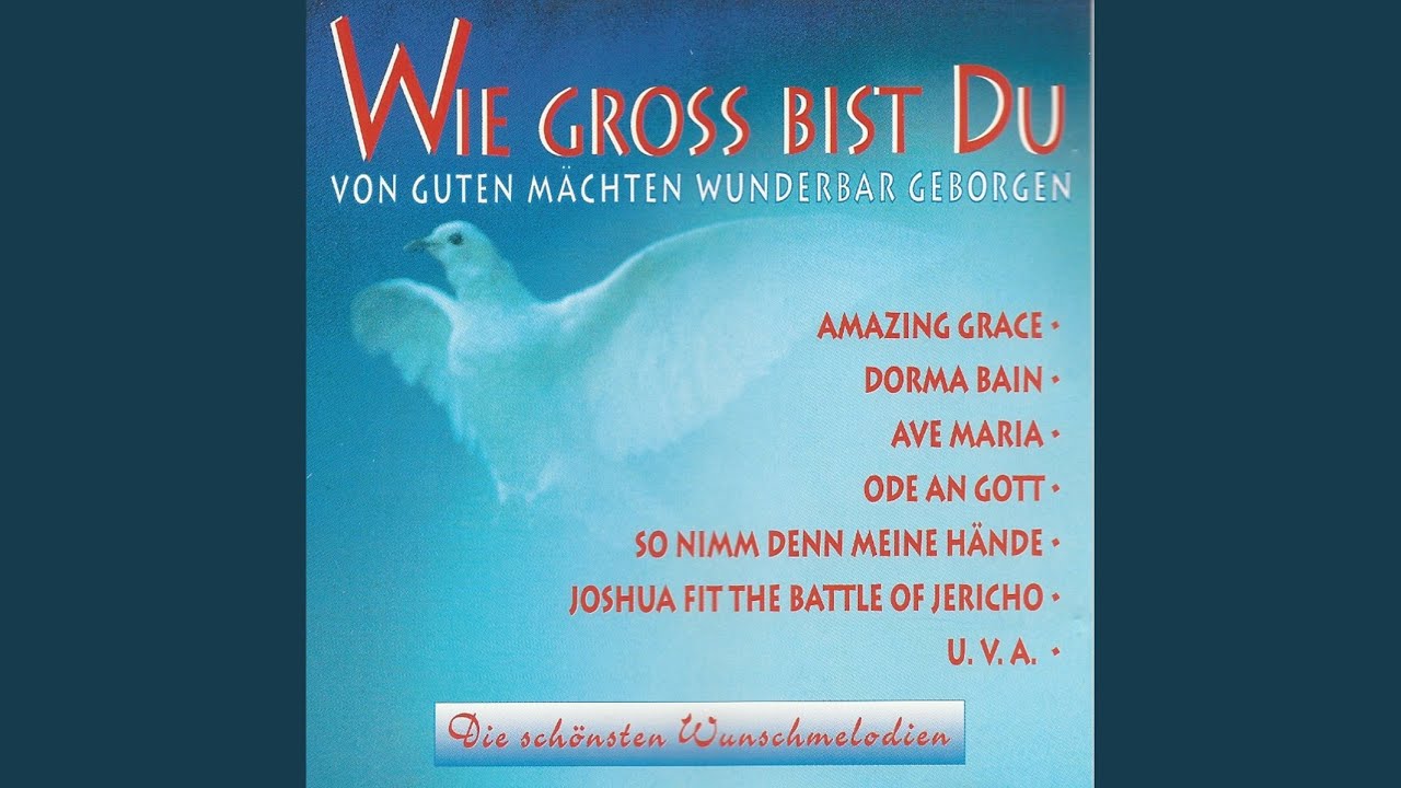 so nimm denn meine hände text pdf