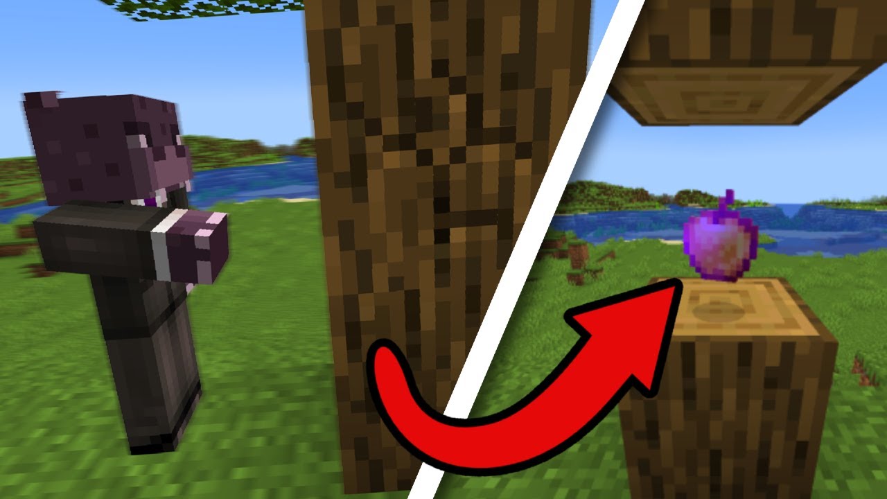 Minecraft, but literally EVERYTHING is RANDOMIZED - YouTube