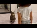 5歳娘が猫に人間の挨拶を教えたらまさかの結果に...
