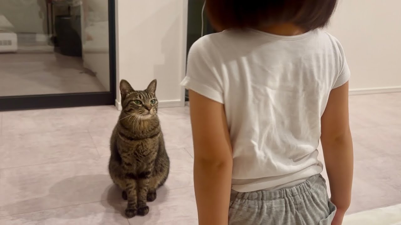 5歳娘が猫に人間の挨拶を教えたらまさかの結果に...