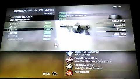 ALL TITLES EMBLEMS AND GUNS MW2 SPLIT SCREEN