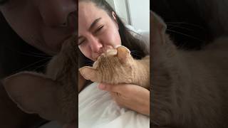 Большая Любовь