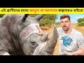 এই প্রাণীদের রহস্য জানুন! Beyond Your Imagination! 😱 | Bangla Animal Facts