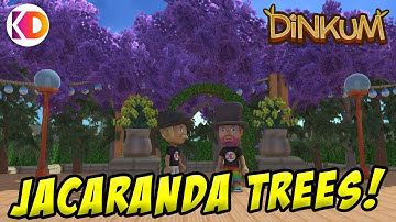 How to Find Jacaranda Trees | Dinkum Bloomin Spring