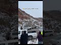 نزول الثلوج بتبوك جبل اللوز تبوك جبل اللوز ثلج Shorts نزول الثلوج بتبوك جبل اللوز تبوك جبل اللوز ثلج Shorts