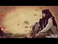 شعر شعبي ليبي الشاعر صالح بوعياد الشهيبي 