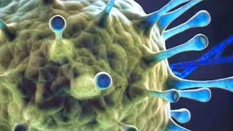 QUANTUM HEALING (RIFE) THROUGH QUANTUM ENTANGLEMEN...