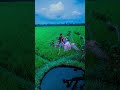 🎵 Oppu Kaatru Oodhakaatchi Song | Dhanush Movie | Tamil HD Song🔥 Oppu Kaatru Full Song 💥 | Tamil