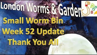 Small Worm Bin Week 52 Update - Goodbye to the Mother Bin