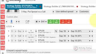 An overview of the Option Spread Builder page in the DeCarley Trader platform.