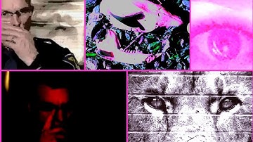 the delphi murders The Hunting of Shane Evans in the "Village Of The Damned" conspiracy; part two