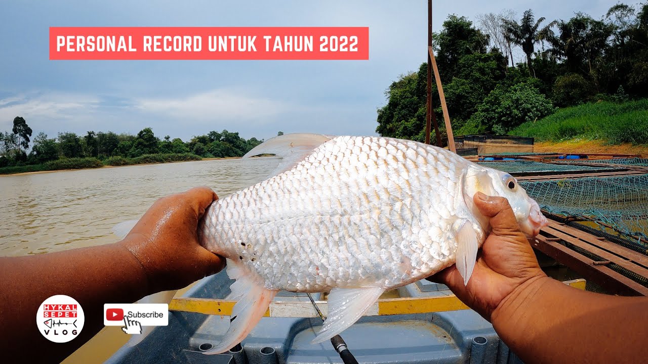 Bapak tenggalan penunggu sangkar..!!- Vlog 88 - Mancing sungai Pahang