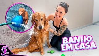 DANDO BANHO NO MEU CACHORRO EM CASA! - Fran Japa