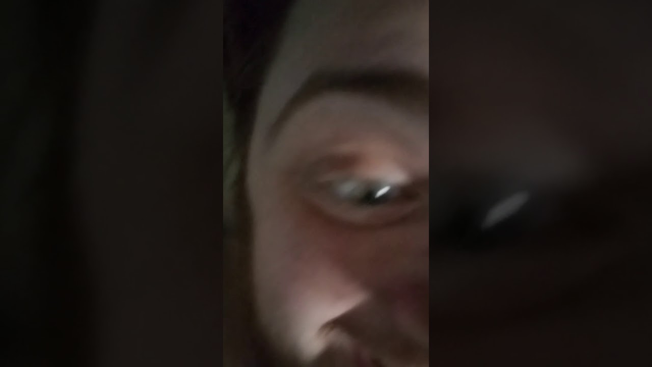 Whitehouse Bird Seed [Full Album Download] YouTube