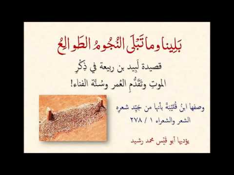 ب ل ينا وما ت ب ل ى الن ج وم الط وال ع في ذكر الموت والفناء للشاعر للفحل لبيد بن ربيعة