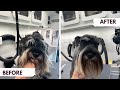 Max the schnauzer gets a makeover  how to set a schnauzer pattern