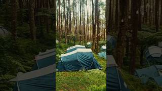 Shaka camping di Pinea Forest Mangli