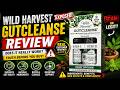 Wild Harvest Gut Cleanse Review — Hidden Truth Exposed! Is It Legit or Scam?