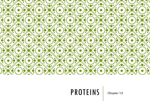 Video: Ano ang papel na ginagampanan ng mga amino acid sa synthesis ng protina?