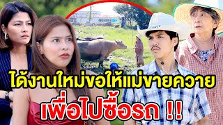 ได้งานใหม่ ขอให้แม่ขายควาย เพื่อไปซื้อรถ(ละครสั้น) หนังสั้นดีๆ BSC