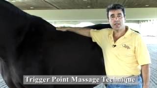 Trigger Point Massage Technique - JP Hourdebaigt