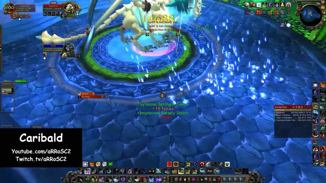 Hunter solo: CaribaLd vs Sapphiron (25 man)