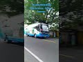 Bus PO JAYA PUTIH REOG ( Ekonomi ATB) rute Surabaya - Madiun - Ponorogo