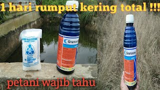 Herbisida Gramaxone Dicampur Garam Semakin Ampuh Basmi Rumput Liar,Terbukti!!!