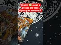 Virgem ♍ o que a pessoa de cada signo quer com você #tarot #taro