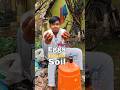 I put the eggs underground for 7 days part-2😱🤫#experiment#eggs put underground