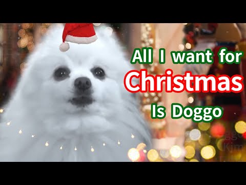 크리스마스 개롤 (All I Want For Christmas Is You)