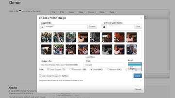 tinymce 4 and 5 plugin Flickr image search
