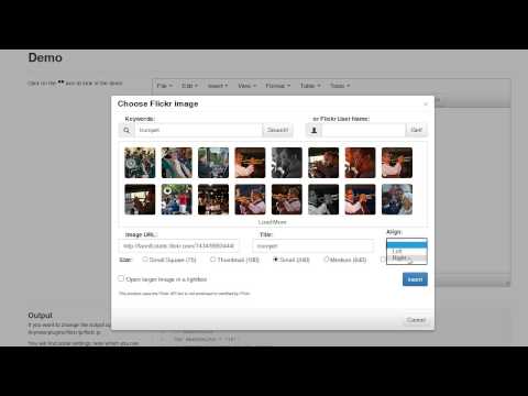 tinymce 4 and 5 plugin Flickr image search