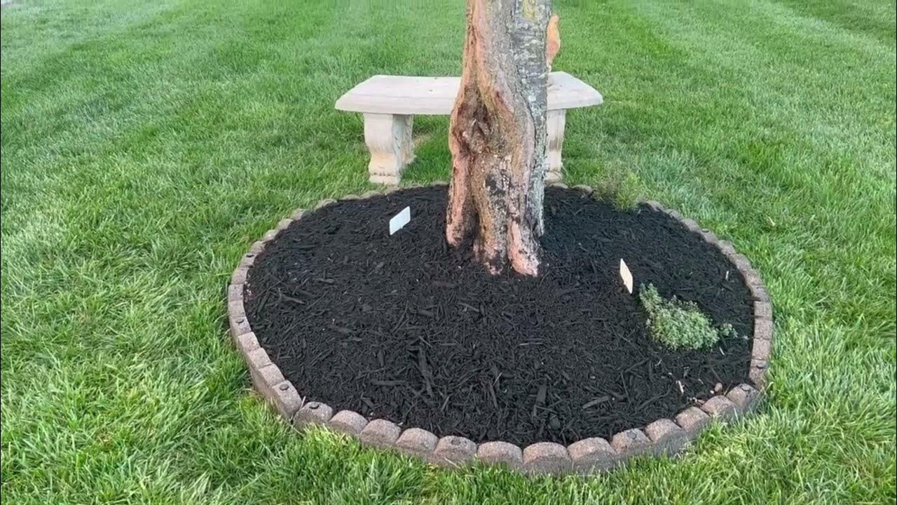 SPRING MULCHING 2023 / SOUTHERN GARDENS, EVERGREENS AND PERENNIALS