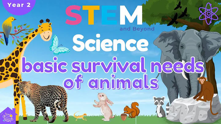Basic Survival Needs Of Animals | KS1 Science Year 2 | STEM Home Learning - DayDayNews
