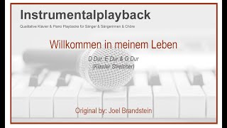 Willkommen in meinem Leben - Pianoversion - Instrumental - Playback