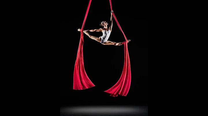 Artist Interview with Aerialist Christine van Loo