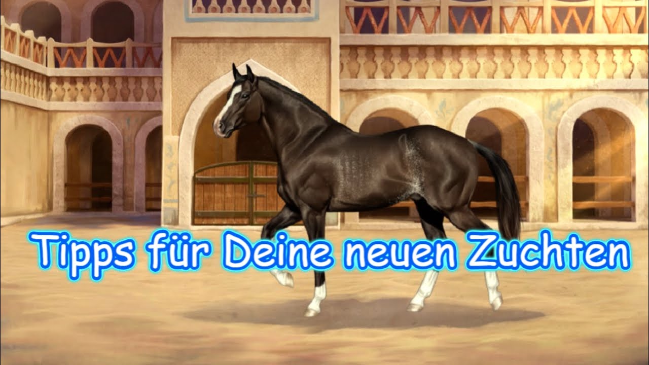Horse Reality119 neue Zucht anfangen so geht es gameplay German YouTube