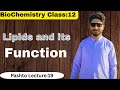 What are lipids|Lipids Class11,12||Biochemistry|Lipids in biology |Function of lipids #pashtolecture