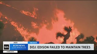 US government files lawsuit against SoCal Edison for the Bobcat Fire